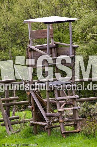 Hochstände (96 von 154).jpg